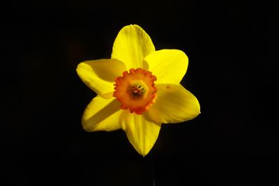CRW_3240.jpg