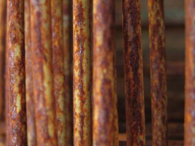 Iron