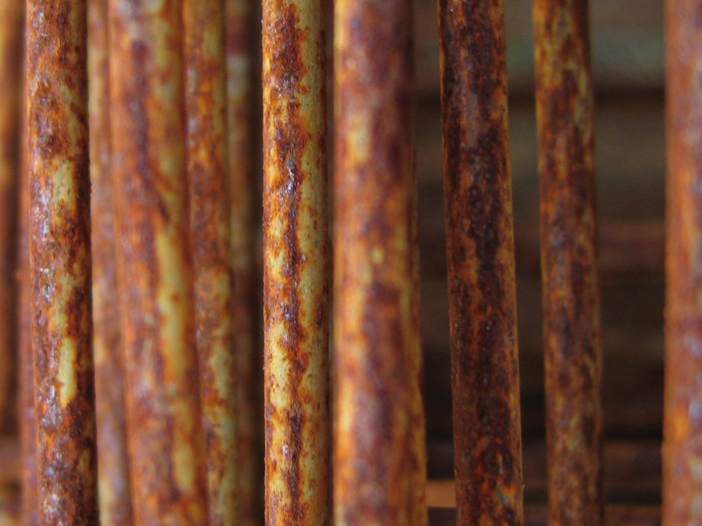 Iron