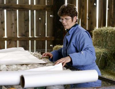 After skirting  paper is used to keep the fleece from sticking together so it can be unrolled and remain intact