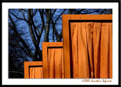 _O6G0664 web.jpg