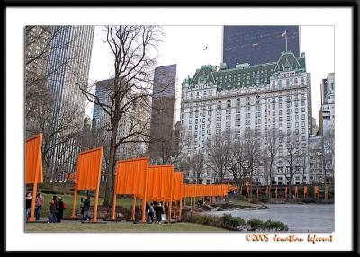 My Perspective of Christo and Jeanne-Claude's The Gates in Central Park