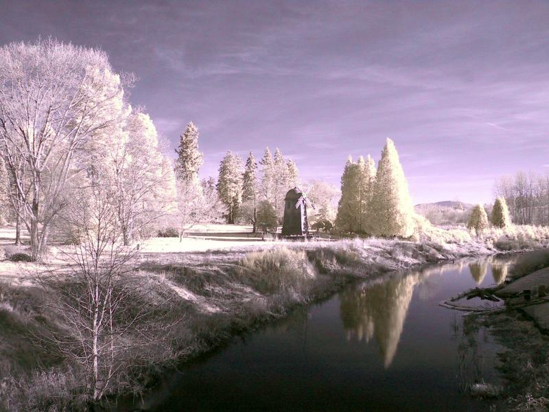 marymoor_ir03_00.JPG