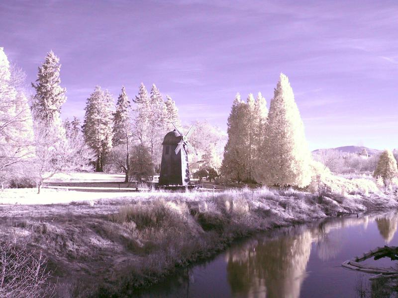 marymoor_ir03_01.JPG