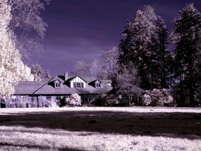 marymoor_ir03_04.JPG