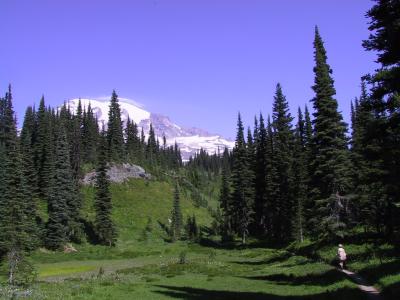 Mt Rainier