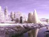 marymoor_ir03_01.JPG