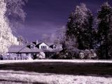 marymoor_ir03_04.JPG
