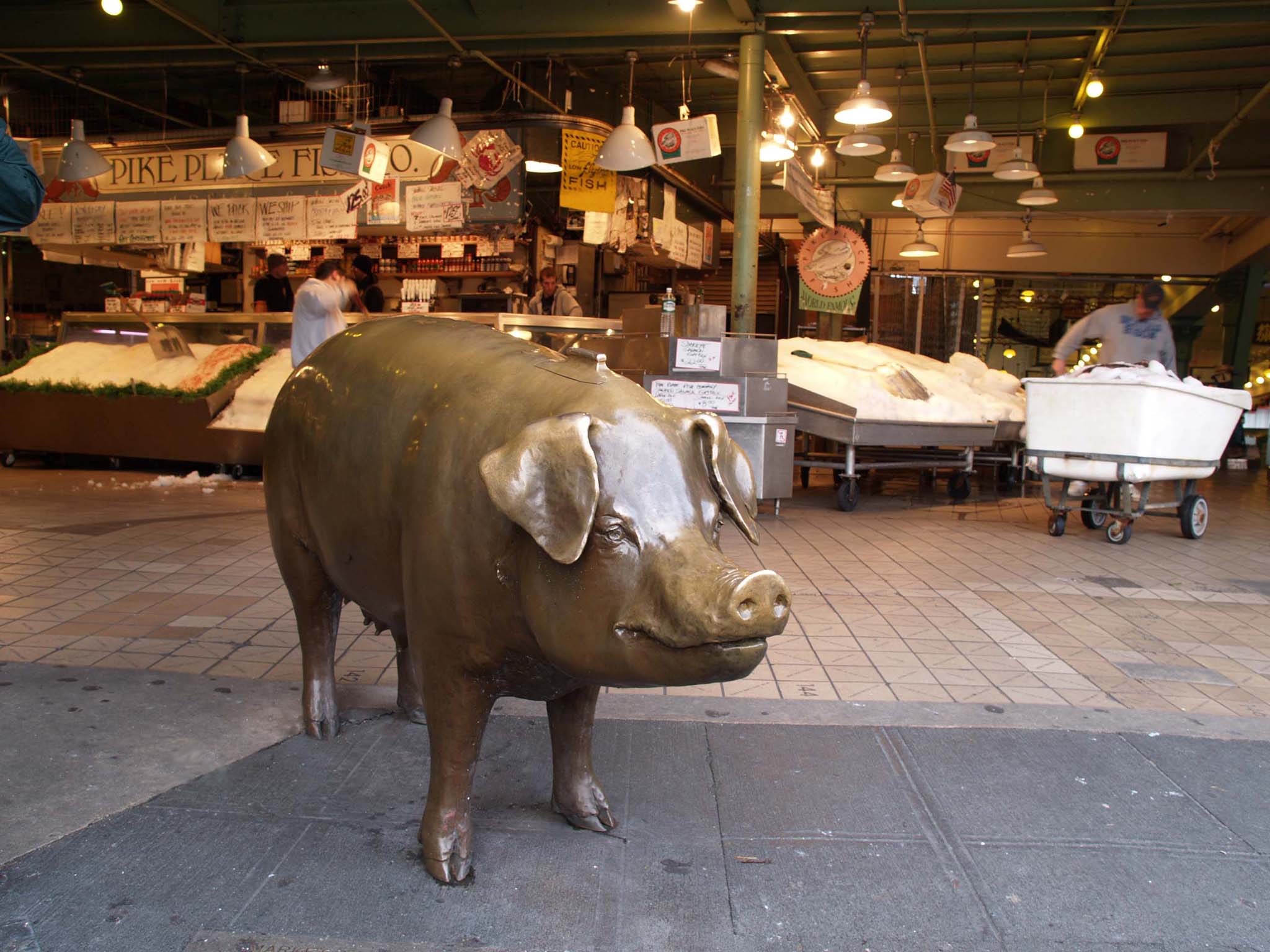 The Pig