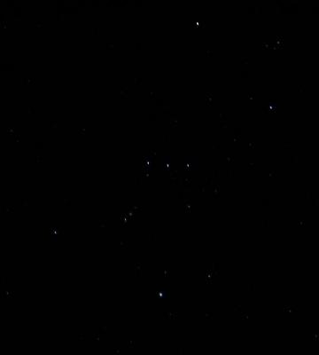 Orion