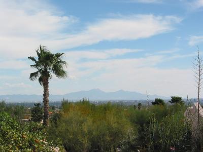Santa Rita Mountains