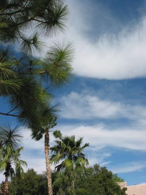 Westward Look Grounds 2