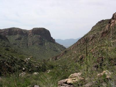 Back Down the Trail