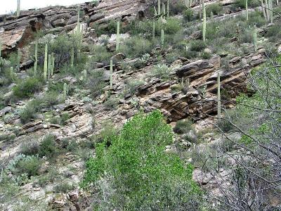 Canyon Wall
