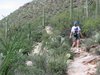 Intrepid Hiker