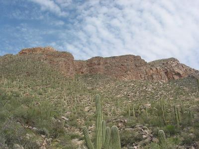 Santa Catalina Mountains 2