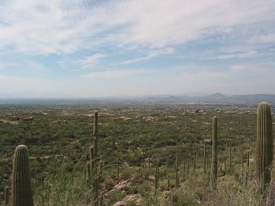 View from Pima Canyon Trail