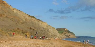 Charmouth - a fossil hunters paradise.