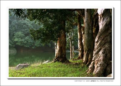 u42/jongky/medium/34225487.shingmunnikonfm020.jpg