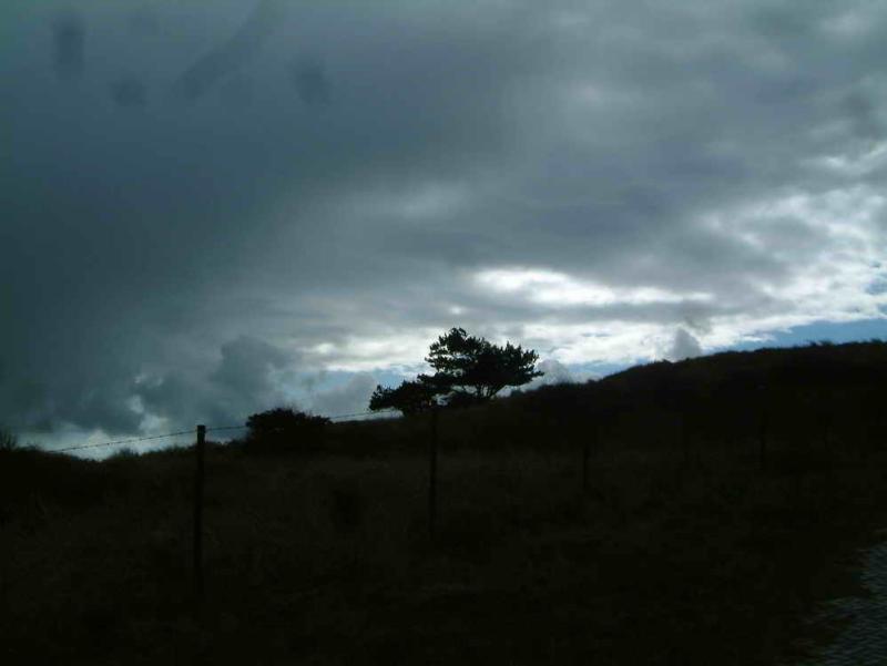 DSCF7084.JPG