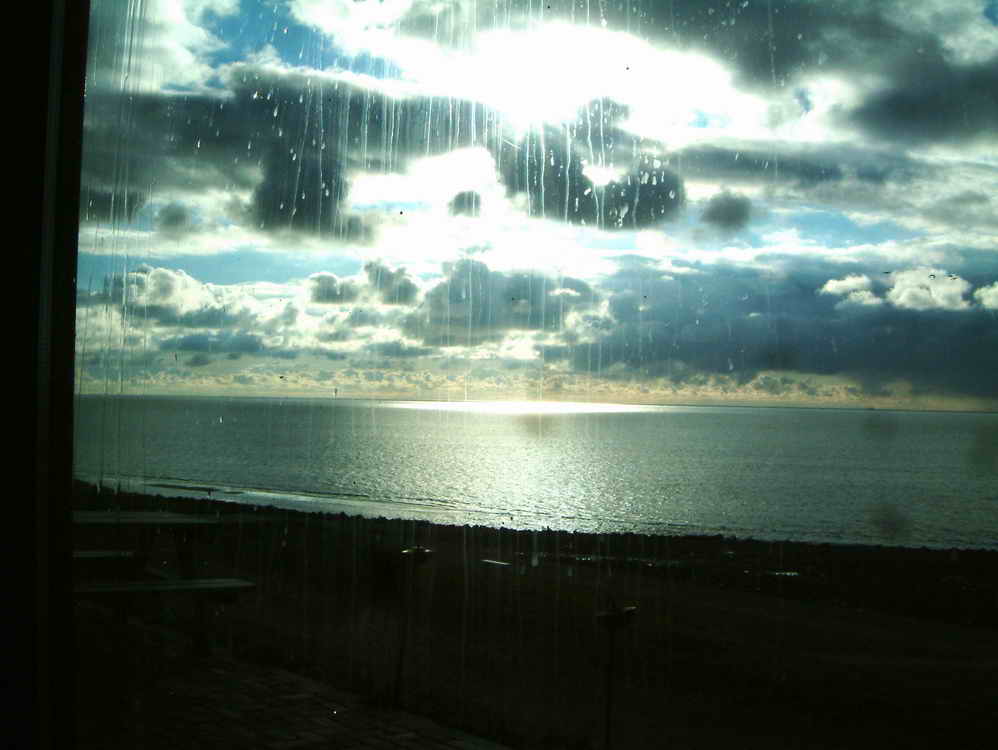 DSCF7100.jpg