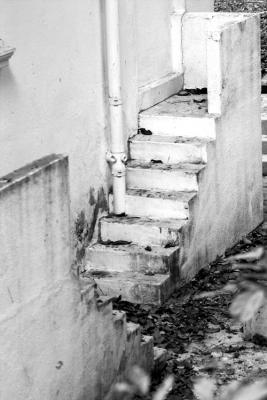 Feb 10 - steps