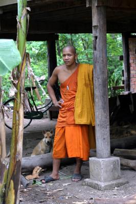 monk & dog (cambodia)