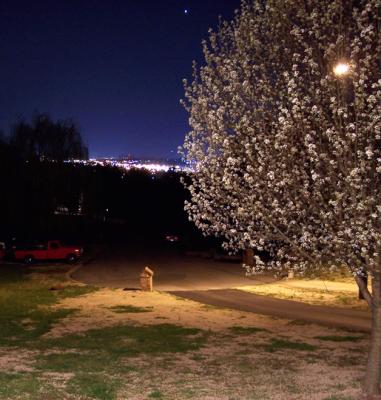 Night View From Front Porch