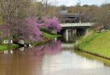 Reedy River behind the Peace Center