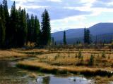 Rocky Mountain Campsite