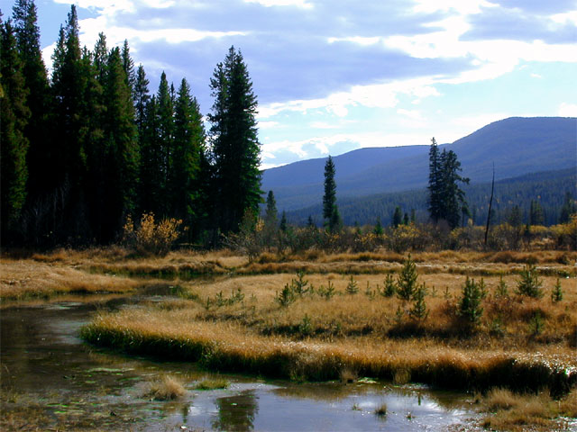 Rocky Mountain Campsite