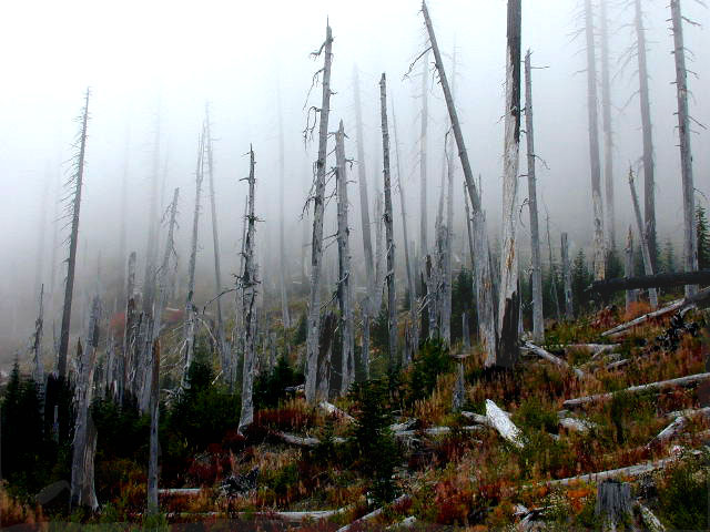 Mount St. Helens