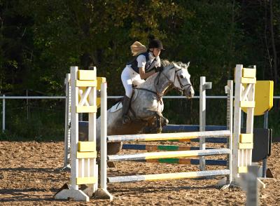 showjumping01.jpg