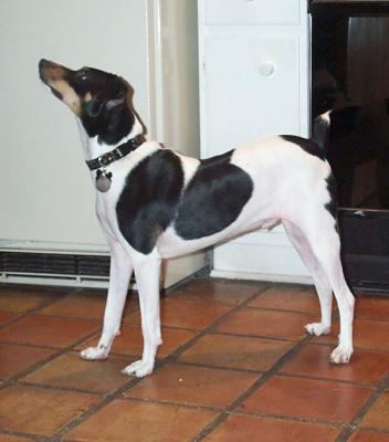 Pose.jpg