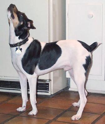 Pose2.jpg