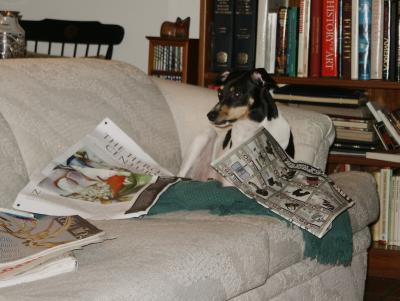 SundayReading.jpg