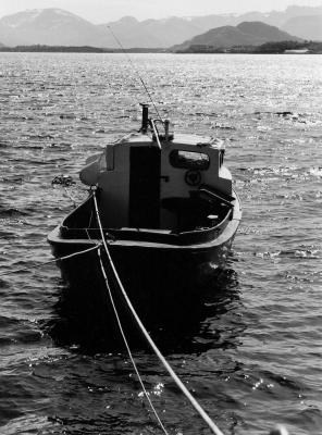 u42/juergenkook/medium/39705234.Scan0011b12s.jpg