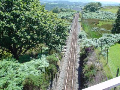 Crossing the track