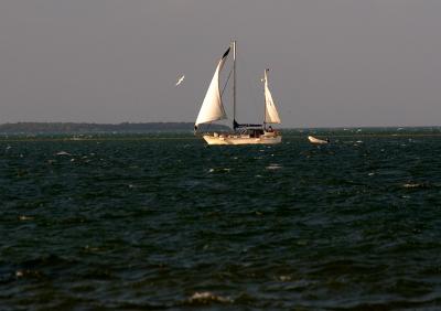 sailing. in  strong wind