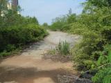 go cart path.jpg