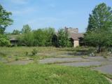 overgrown parking lot.jpg