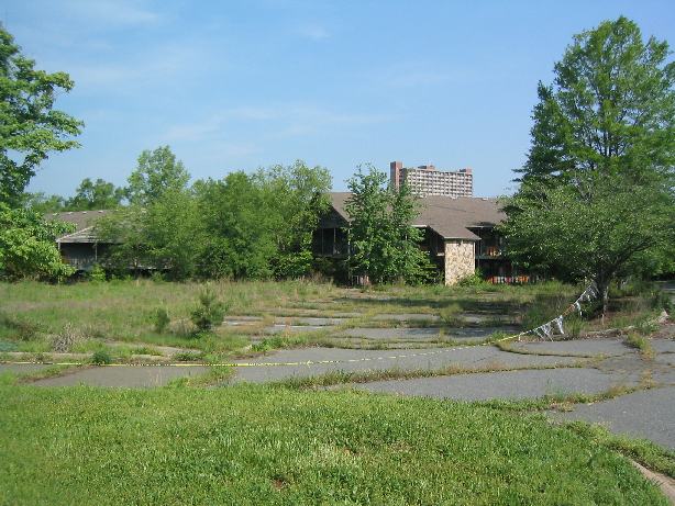 overgrown parking lot.jpg