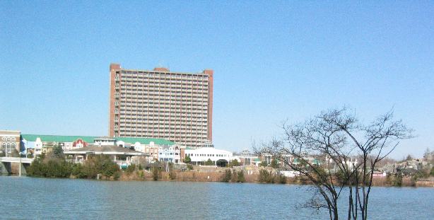 view across lake.jpg