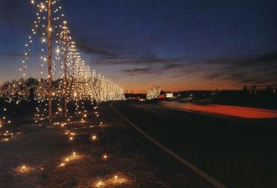 christmas lights.JPG