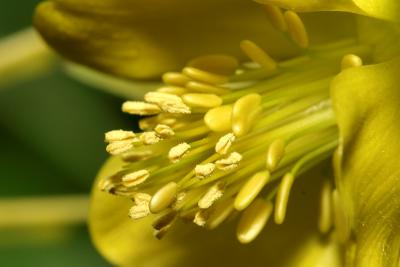 u42/karipides/medium/27618045.StyleMacro.jpg