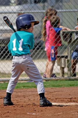 auggiebaseball