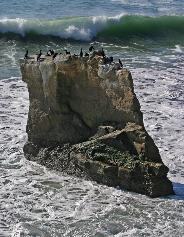 014_Cormorant rock_8530`0501311253.JPG