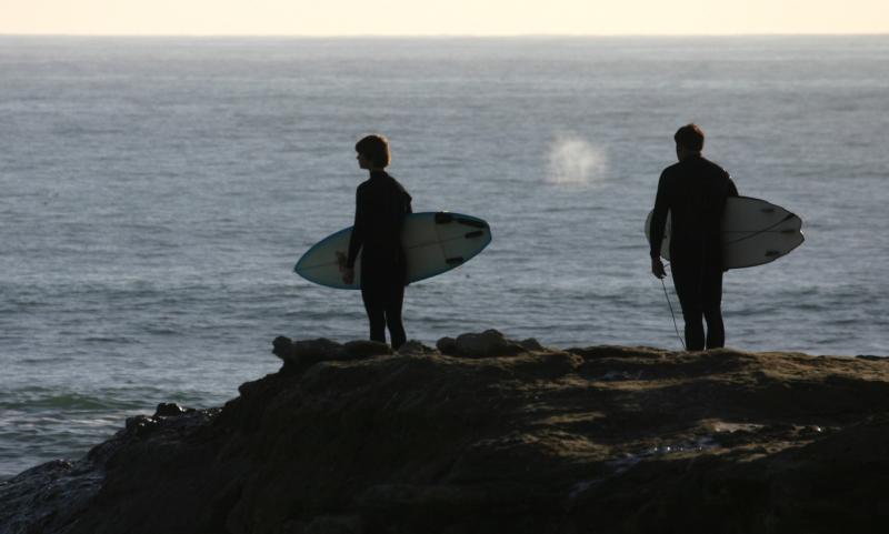 065_Surfers on point & whale spout`q_8703`0501311548.JPG