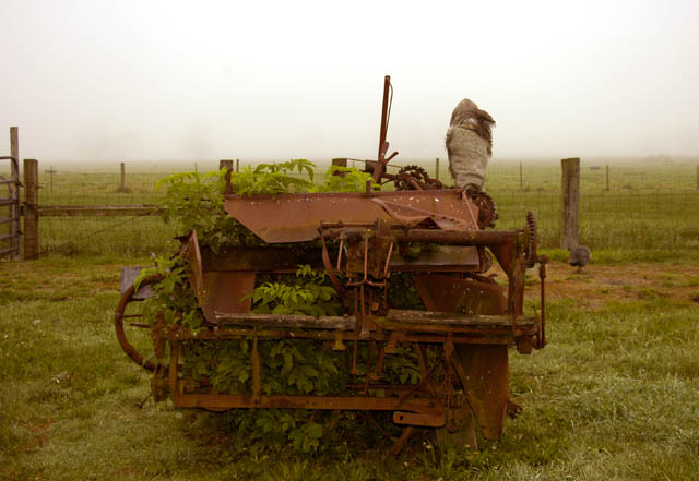 040831 Equipment Versus Weeds