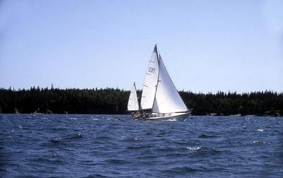 Bar Habor-sail boat